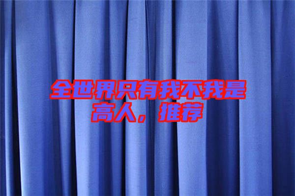 全世界只有我不我是高人，推薦