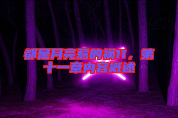 都是月亮惹的禍11，第十一章內(nèi)容概述
