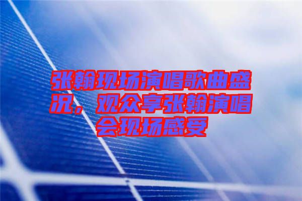 張翰現(xiàn)場(chǎng)演唱歌曲盛況，觀眾享張翰演唱會(huì)現(xiàn)場(chǎng)感受