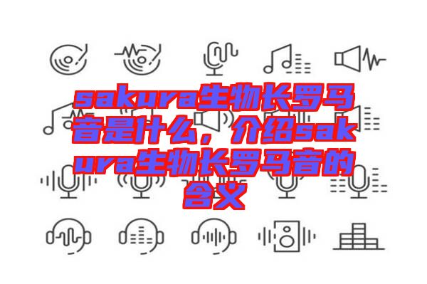sakura生物長羅馬音是什么，介紹sakura生物長羅馬音的含義