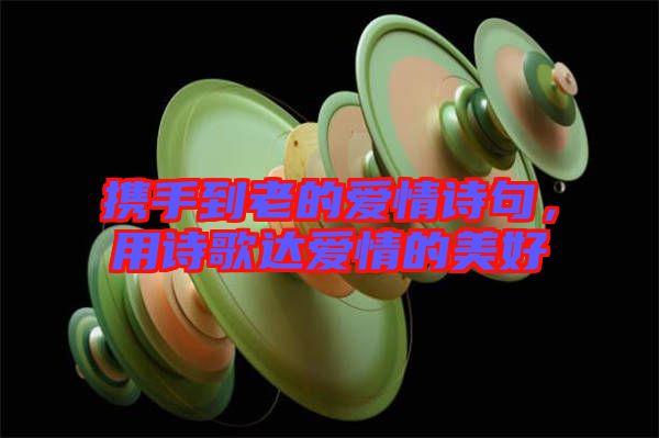 攜手到老的愛情詩句，用詩歌達(dá)愛情的美好