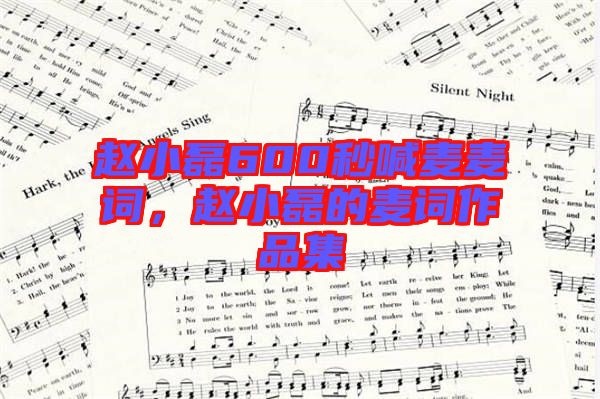 趙小磊600秒喊麥麥詞，趙小磊的麥詞作品集