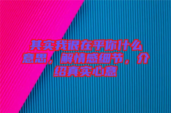 其實(shí)我很在乎你什么意思，解情感細(xì)節(jié)，介紹真實(shí)心意