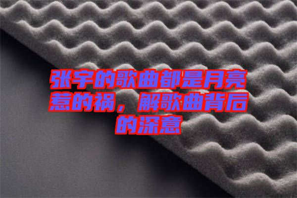 張宇的歌曲都是月亮惹的禍，解歌曲背后的深意