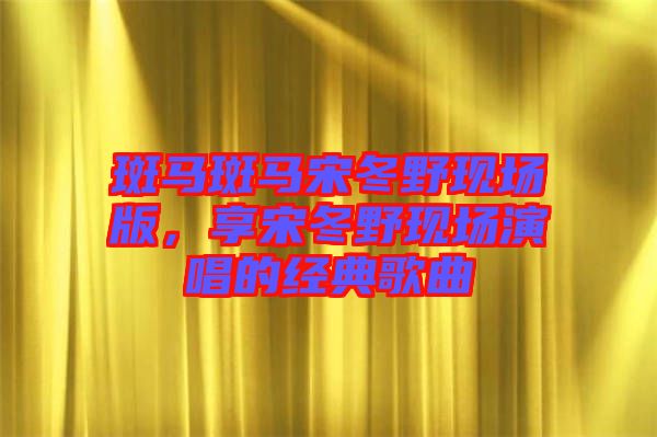 斑馬斑馬宋冬野現場版，享宋冬野現場演唱的經典歌曲
