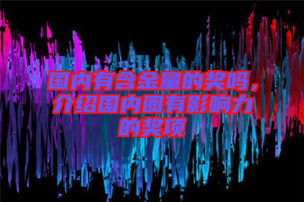 國內(nèi)有含金量的獎嗎，介紹國內(nèi)圈有影響力的獎項