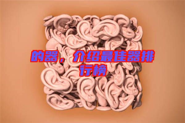 的器，介紹最佳器排行榜