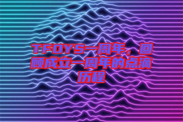 TFOYS一周年，回顧成立一周年的點(diǎn)滴歷程