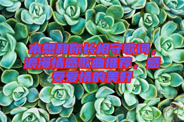 本想和你長相守歌詞，浪漫情感歌曲推薦，感受愛情的美好