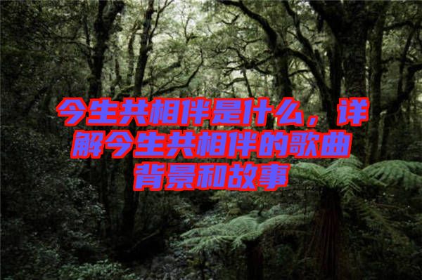今生共相伴是什么，詳解今生共相伴的歌曲背景和故事