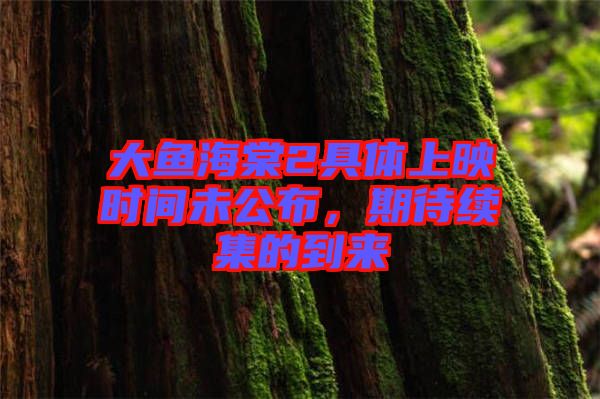 大魚海棠2具體上映時間未公布，期待續(xù)集的到來