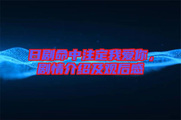 日劇命中注定我愛你，劇情介紹及觀后感