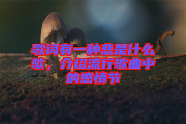歌詞有一種悲是什么歌，介紹流行歌曲中的感情節(jié)