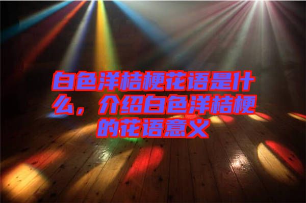 白色洋桔?；ㄕZ是什么，介紹白色洋桔梗的花語意義
