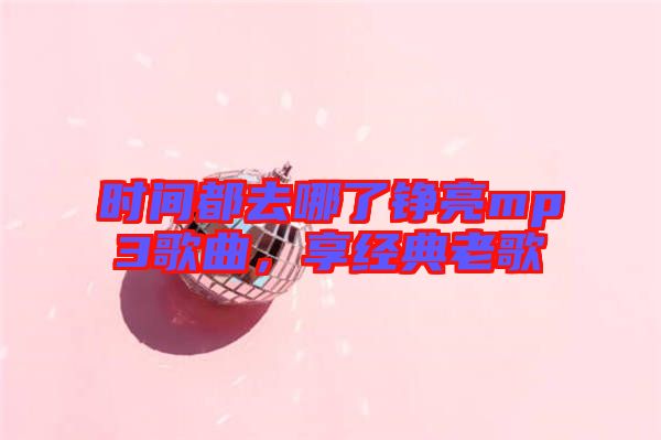 時(shí)間都去哪了錚亮mp3歌曲，享經(jīng)典老歌