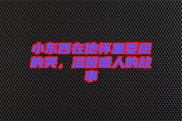 小東西在他懷里委屈的哭，溫馨感人的故事