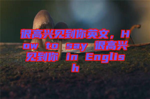 很高興見到你英文，How to say 很高興見到你 in English