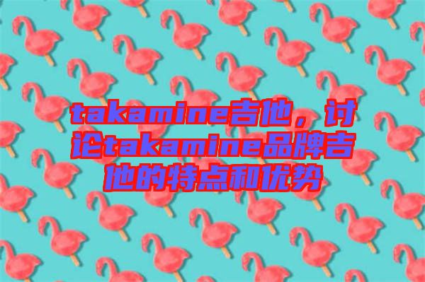 takamine吉他，討論takamine品牌吉他的特點(diǎn)和優(yōu)勢(shì)