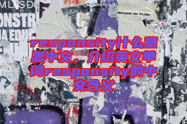 responsity什么意思中文，介紹英文單詞responsity的中文含義