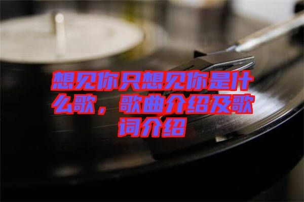想見你只想見你是什么歌，歌曲介紹及歌詞介紹