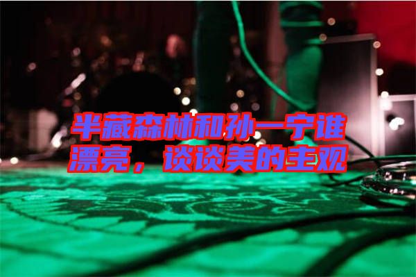 半藏森林和孫一寧誰漂亮，談?wù)劽赖闹饔^