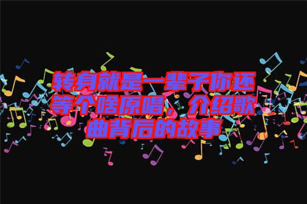 轉(zhuǎn)身就是一輩子你還等個(gè)啥原唱，介紹歌曲背后的故事