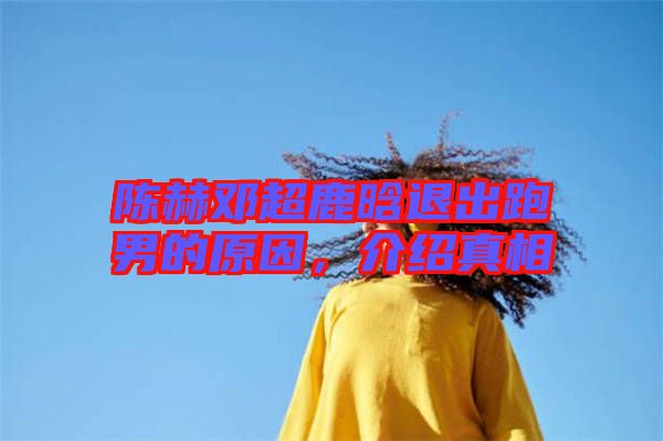 陳赫鄧超鹿晗退出跑男的原因，介紹真相