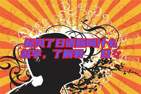 起風(fēng)了日語版叫什么名字，了解君といた日々