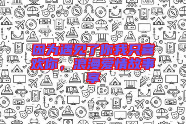 因?yàn)橛鲆娏四阄抑幌矚g你，浪漫愛情故事享