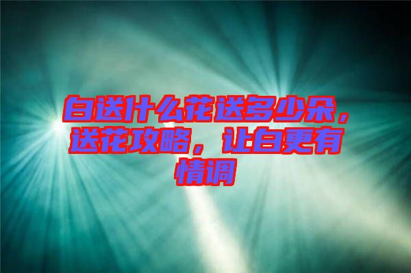 白送什么花送多少朵，送花攻略，讓白更有情調(diào)