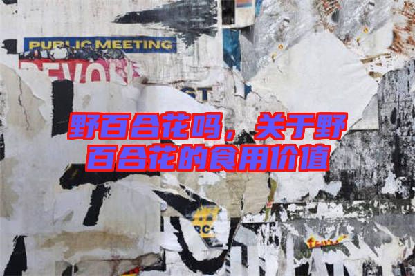 野百合花嗎，關(guān)于野百合花的食用價(jià)值