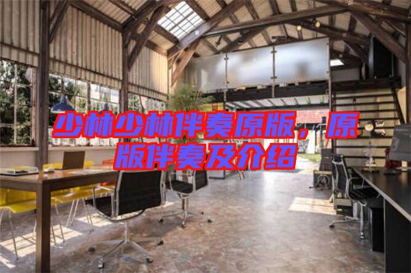 少林少林伴奏原版，原版伴奏及介紹