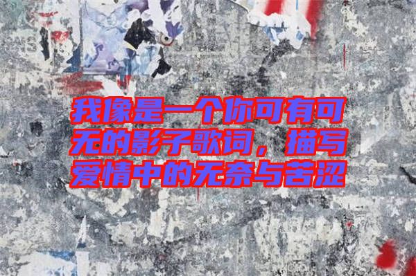 我像是一個(gè)你可有可無(wú)的影子歌詞，描寫愛情中的無(wú)奈與苦澀