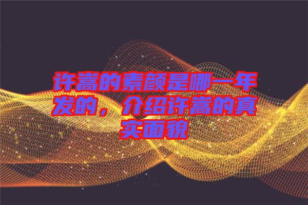 許嵩的素顏是哪一年發(fā)的，介紹許嵩的真實(shí)面貌