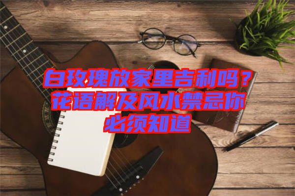 白玫瑰放家里吉利嗎？花語解及風水禁忌你必須知道