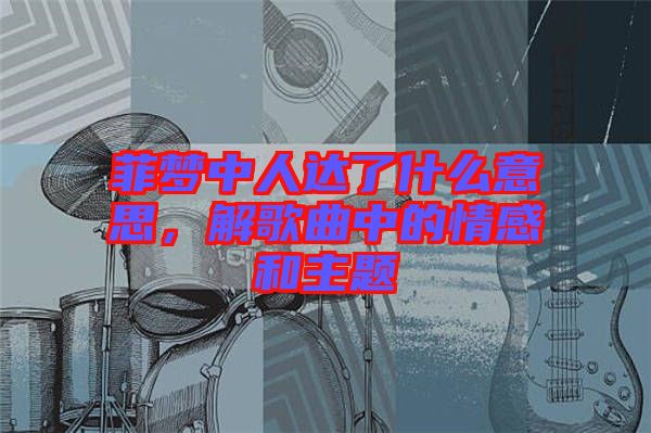 菲夢中人達了什么意思，解歌曲中的情感和主題