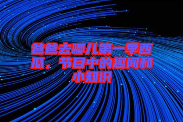 爸爸去哪兒第一季西瓜，節(jié)目中的趣聞和小知識(shí)