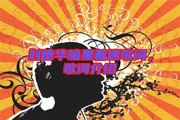 劉德華暗里著迷歌詞，歌詞介紹