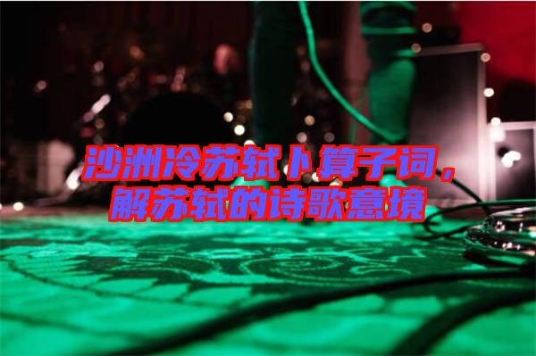 沙洲冷蘇軾卜算子詞，解蘇軾的詩歌意境