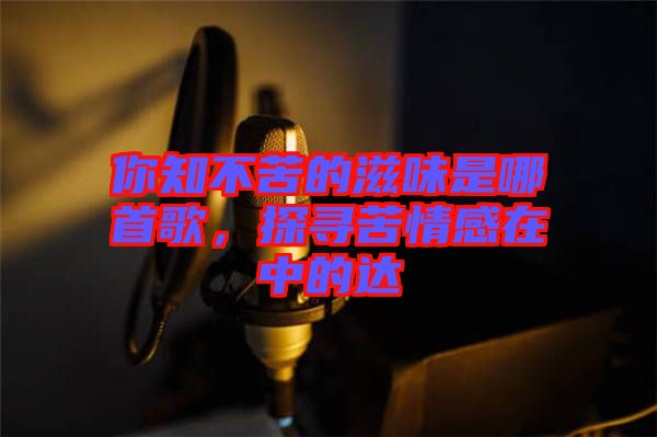 你知不苦的滋味是哪首歌，探尋苦情感在中的達(dá)