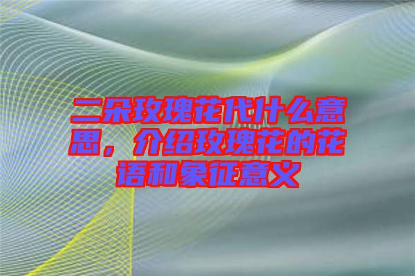 二朵玫瑰花代什么意思，介紹玫瑰花的花語和象征意義