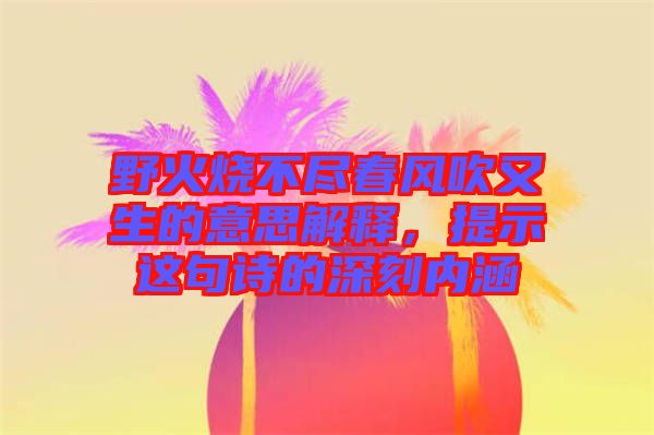 野火燒不盡春風(fēng)吹又生的意思解釋，提示這句詩的深刻內(nèi)涵