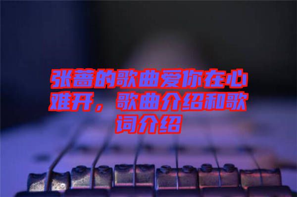 張薔的歌曲愛你在心難開，歌曲介紹和歌詞介紹