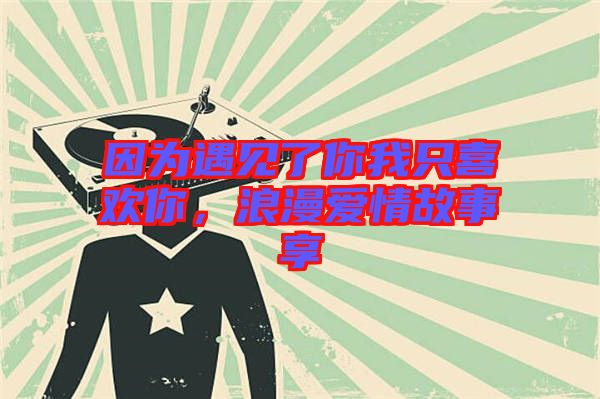 因?yàn)橛鲆娏四阄抑幌矚g你，浪漫愛(ài)情故事享