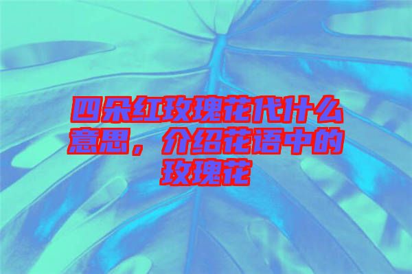 四朵紅玫瑰花代什么意思，介紹花語(yǔ)中的玫瑰花