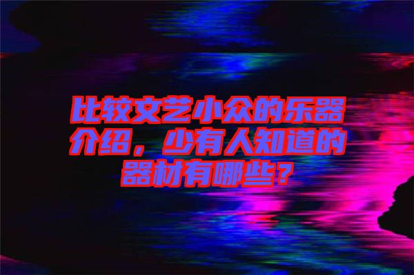比較文藝小眾的樂(lè)器介紹，少有人知道的器材有哪些？