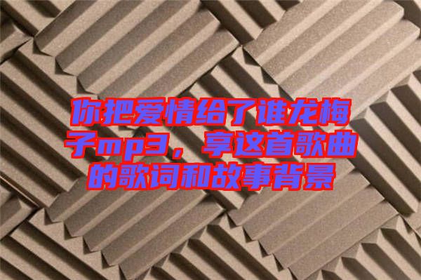 你把愛(ài)情給了誰(shuí)龍梅子mp3，享這首歌曲的歌詞和故事背景