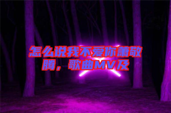 怎么說我不愛你蕭敬騰，歌曲MV及