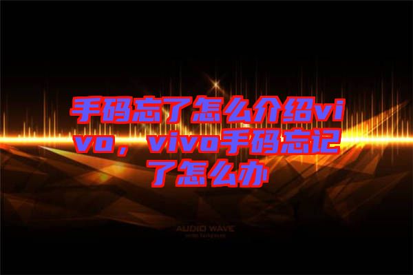 手碼忘了怎么介紹vivo，vivo手碼忘記了怎么辦