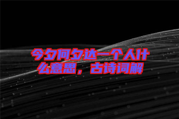 今夕何夕達一個人什么意思，古詩詞解